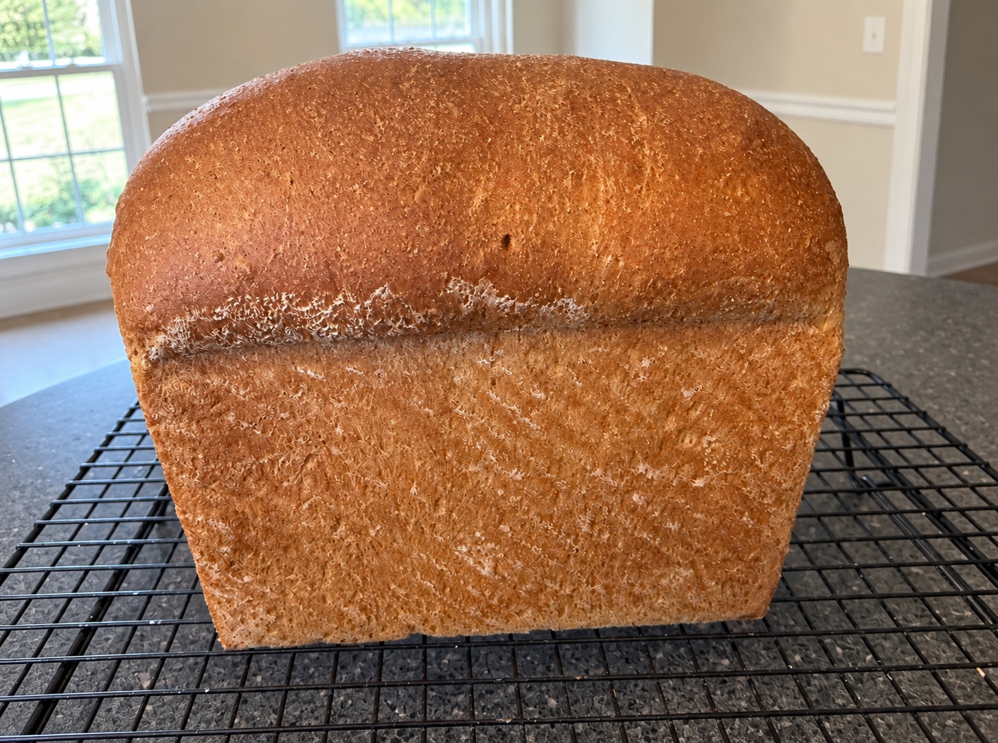 A freshly baked whole-grain loaf cooling on a wire rack